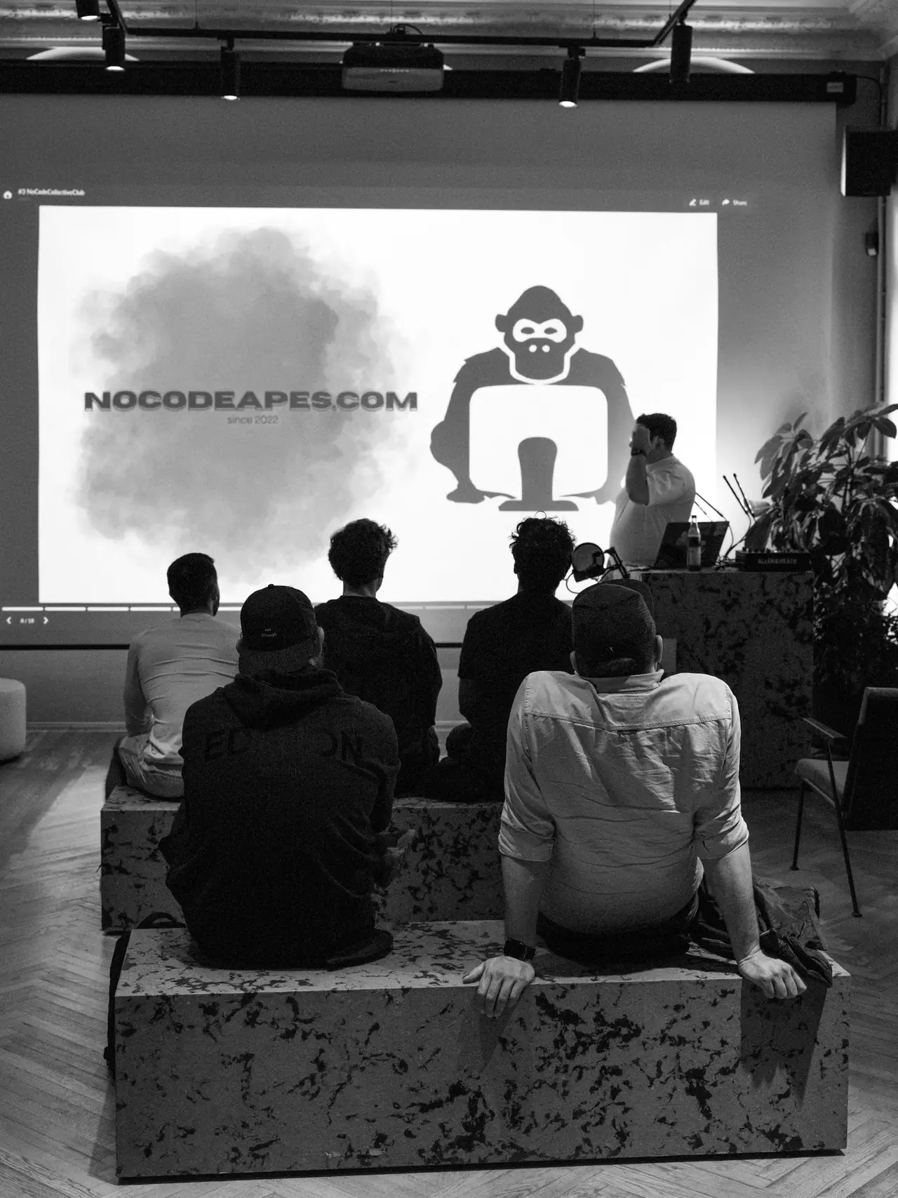 nocodeapes.com slide on screen